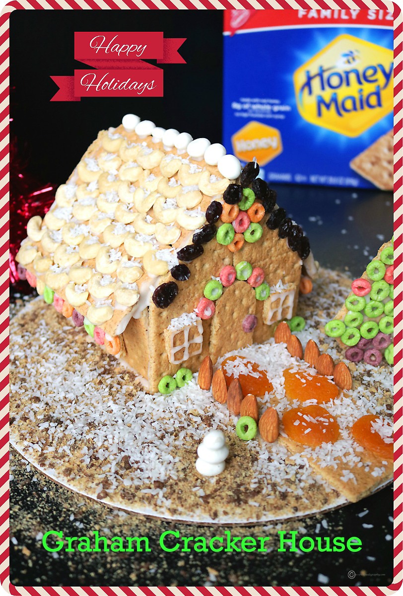 graham cracker house #shop