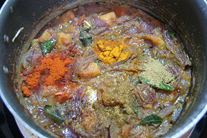 gobi