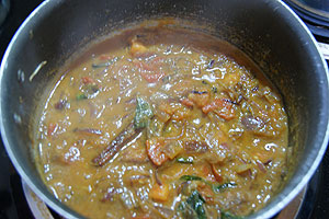 gobi