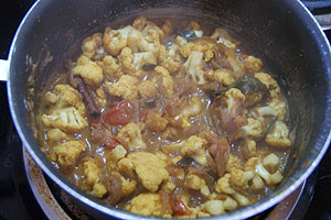 gobi